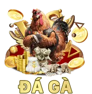 Cấp phép hoạt động